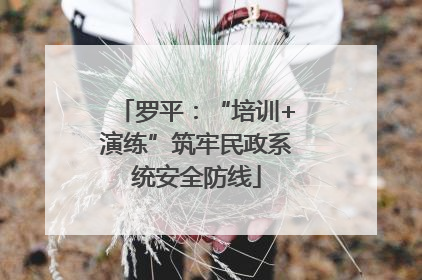 罗平：“培训+演练”筑牢民政系统安全防线