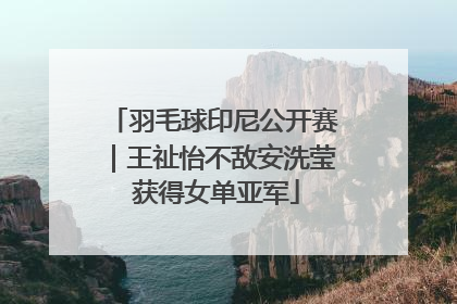 羽毛球印尼公开赛｜王祉怡不敌安洗莹 获得女单亚军