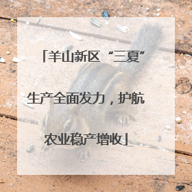 羊山新区“三夏”生产全面发力，护航农业稳产增收