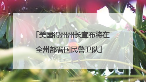 美国得州州长宣布将在全州部署国民警卫队