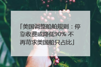 美国调整船舶规则：停靠收费或降低90% 不再苛求美国船只占比