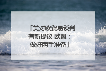 美对欧贸易谈判有新提议 欧盟：做好两手准备