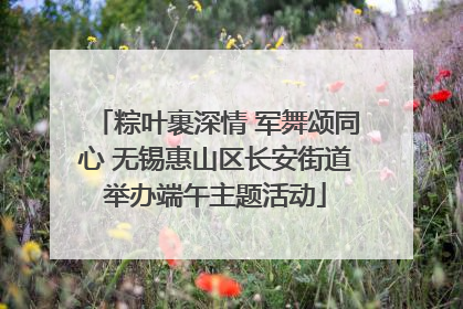 粽叶裹深情 军舞颂同心 无锡惠山区长安街道举办端午主题活动
