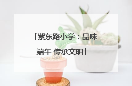 紫东路小学：品味端午 传承文明