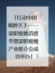 红动中国 桃醉天下——蒙阴蜜桃消费季暨蒙阴蜜桃产业推介会成功举办