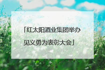 红太阳酒业集团举办见义勇为表彰大会