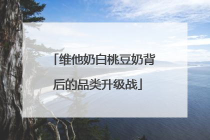 维他奶白桃豆奶背后的品类升级战
