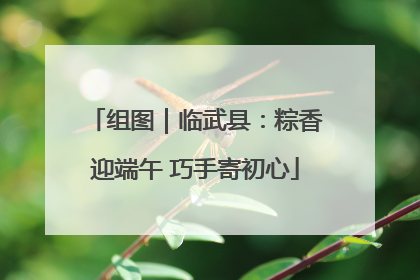 组图｜临武县：粽香迎端午 巧手寄初心