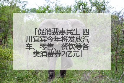 促消费惠民生 四川宜宾今年将发放汽车、零售、餐饮等各类消费券2亿元