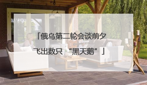俄乌第二轮会谈前夕 飞出数只 “黑天鹅”