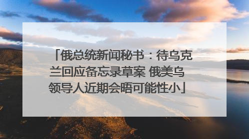 俄总统新闻秘书：待乌克兰回应备忘录草案 俄美乌领导人近期会晤可能性小