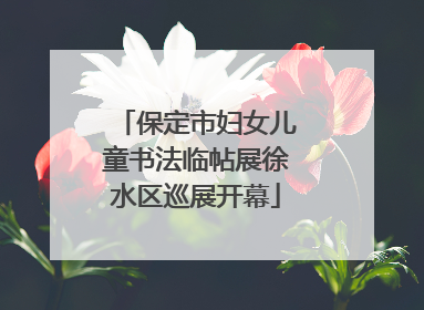 保定市妇女儿童书法临帖展徐水区巡展开幕