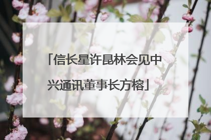 信长星许昆林会见中兴通讯董事长方榕