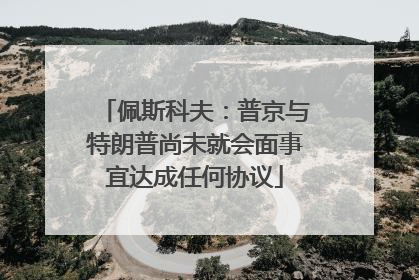佩斯科夫：普京与特朗普尚未就会面事宜达成任何协议