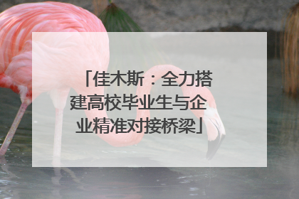 佳木斯：全力搭建高校毕业生与企业精准对接桥梁