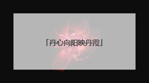 丹心向阳映丹霞