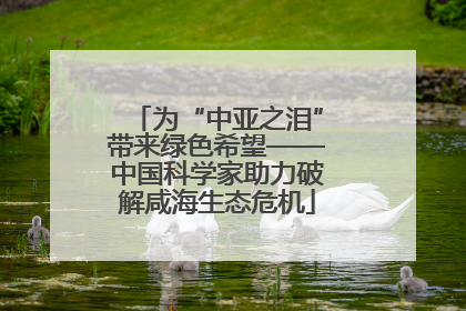 为“中亚之泪”带来绿色希望——中国科学家助力破解咸海生态危机