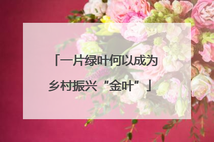 一片绿叶何以成为乡村振兴“金叶”
