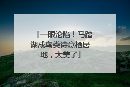 一眼沦陷！马踏湖成鸟类诗意栖居地，太美了