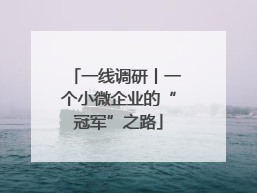 一线调研丨一个小微企业的“冠军”之路