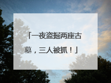 一夜盗掘两座古墓，三人被抓！