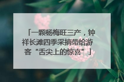 一颗杨梅旺三产，钟祥长滩四季采摘带给游客“舌尖上的惊喜”