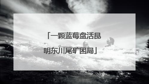 一颗蓝莓盘活昆明东川尾矿困局