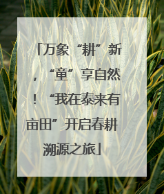 万象“耕”新，“童”享自然！“我在泰来有亩田”开启春耕溯源之旅