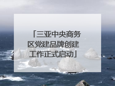 三亚中央商务区党建品牌创建工作正式启动