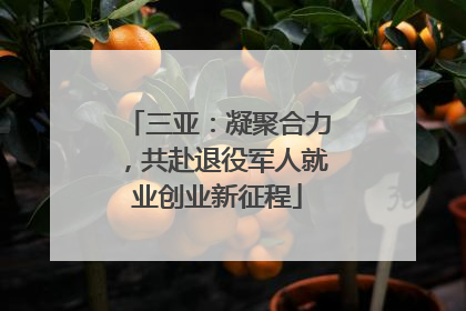 三亚：凝聚合力，共赴退役军人就业创业新征程