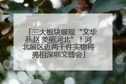 三大板块展现“文华燕赵 美丽河北”！河北展区近两千件实物将亮相深圳文博会