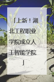 上新！湖北工程职业学院成立人工智能学院