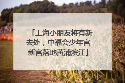 上海小朋友将有新去处，中福会少年宫新宫落地黄浦滨江