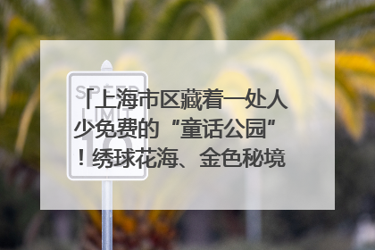 上海市区藏着一处人少免费的“童话公园”！绣球花海、金色秘境……地铁直达→