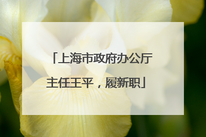 上海市政府办公厅主任王平，履新职