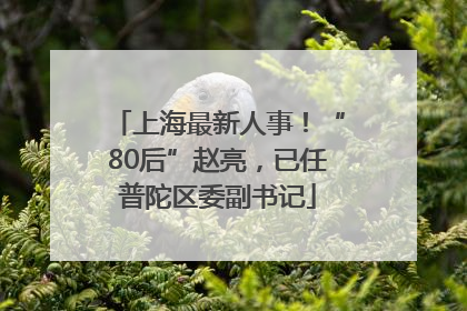 上海最新人事！“80后”赵亮，已任普陀区委副书记
