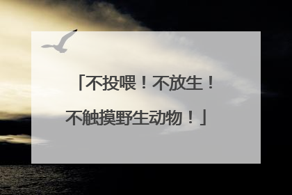 不投喂！不放生！不触摸野生动物！