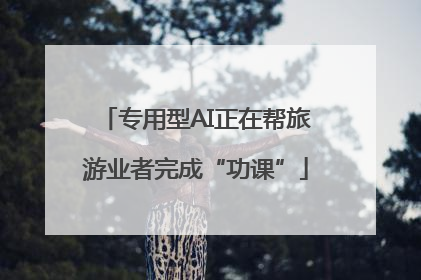 专用型AI正在帮旅游业者完成“功课”