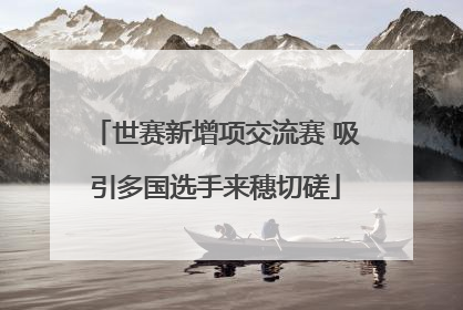 世赛新增项交流赛 吸引多国选手来穗切磋