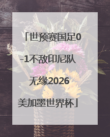 世预赛国足0-1不敌印尼队 无缘2026美加墨世界杯