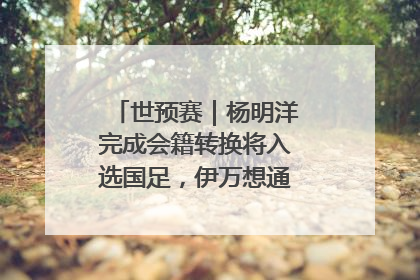 世预赛｜杨明洋完成会籍转换将入选国足，伊万想通了要打双后腰？