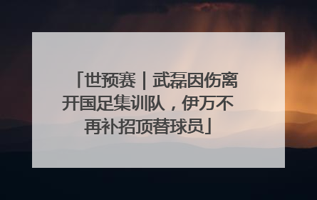 世预赛｜武磊因伤离开国足集训队，伊万不再补招顶替球员