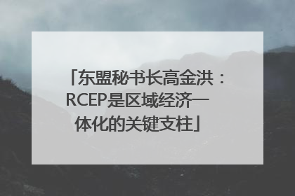 东盟秘书长高金洪：RCEP是区域经济一体化的关键支柱