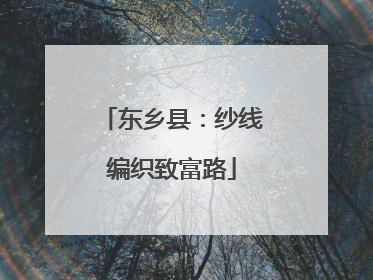 东乡县：纱线编织致富路