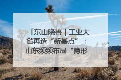 东山晓鲁｜工业大省再造“新基点”：山东频频布局“隐形冠军”背后