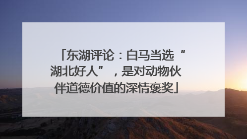 东湖评论：白马当选“湖北好人”，是对动物伙伴道德价值的深情褒奖