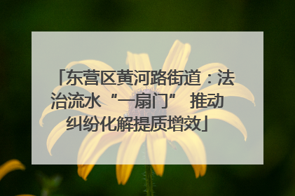 东营区黄河路街道：法治流水“一扇门” 推动纠纷化解提质增效