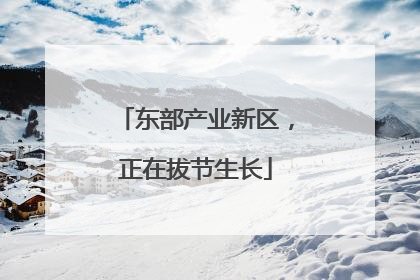 东部产业新区，正在拔节生长