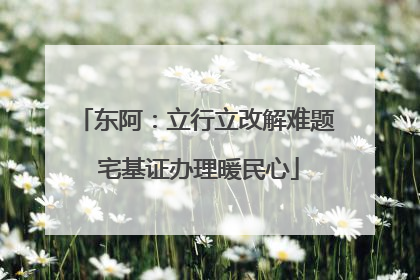 东阿：立行立改解难题 宅基证办理暖民心
