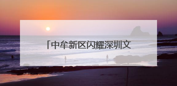 中牟新区闪耀深圳文博会：“文旅+时尚”融合展现新魅力
